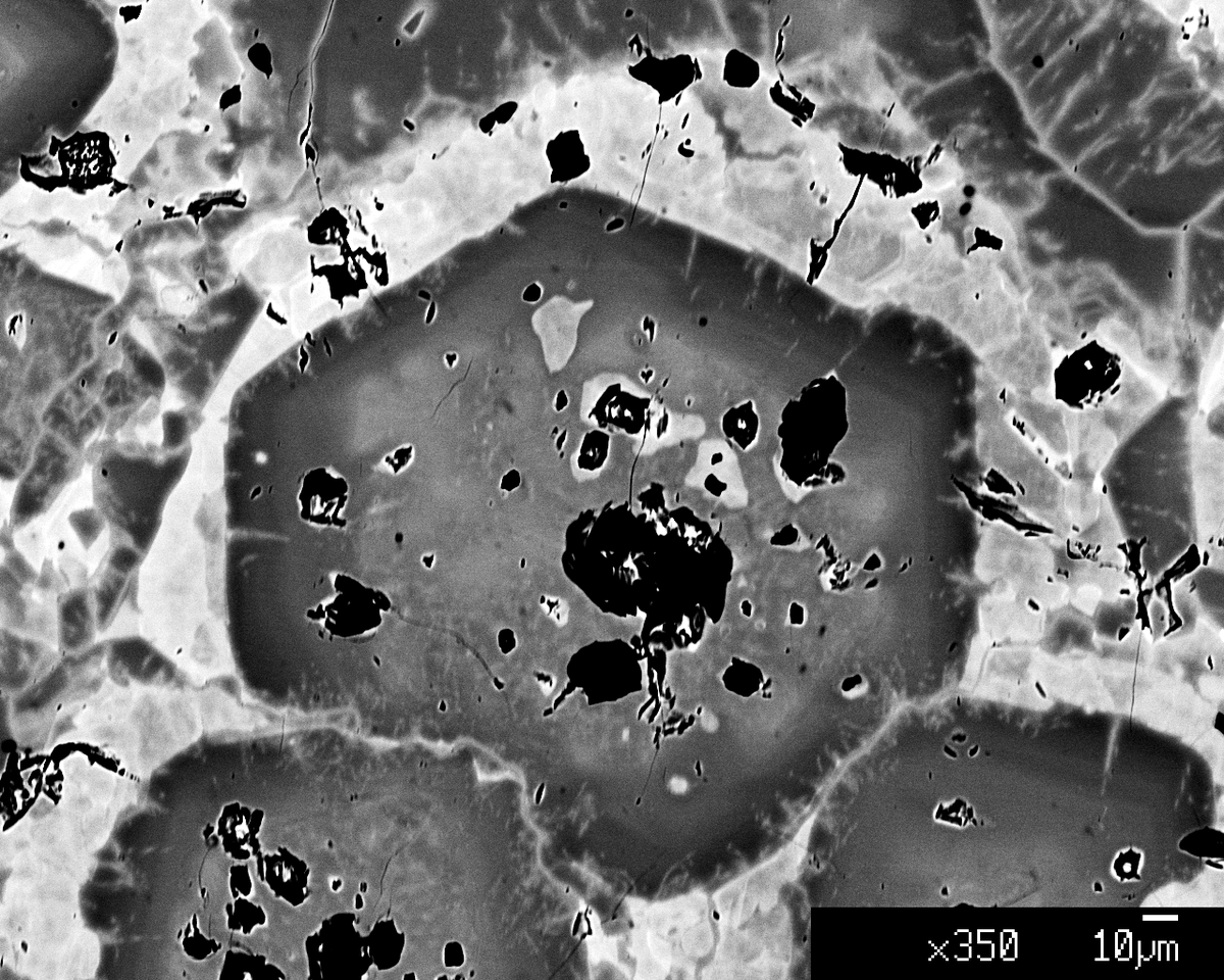 Everything in this image (except the black spots) is #garnet. Greyscale variations indicate a difference in chemical composition, which is distributed in a remarkable way.
One of the more spectacular samples I've come across, as seen in the microprobe. #ThinSectionThursday