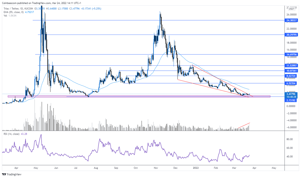 Coinbaas_NL's tweet photo. $TRIAS Volume increasing, small break-out atm. https://t.co/NbsNeLIVGz
