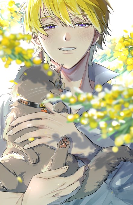 🔗🤲🐈
#Briskart 