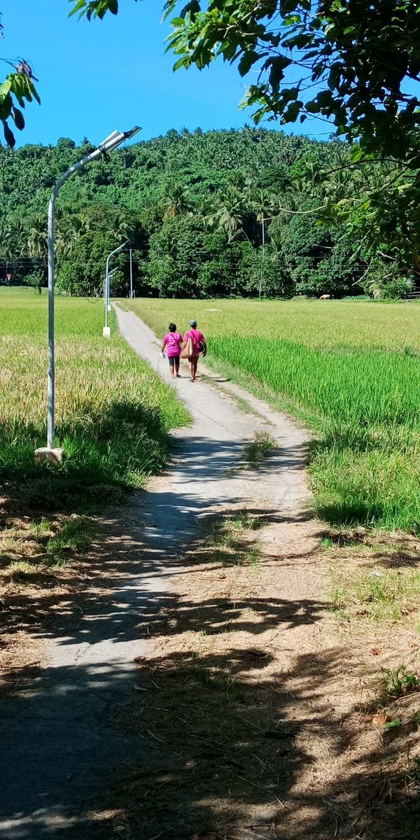 iamphym's tweet photo. @PinoyAkoBlog this is my friend’s House to House campaign for Leni and Kiko in Atimonan Quezon. If you can assist them in any kind of donations. Thanks. #LeniKiko2022 #LeniForPresident2022 #KikoAngManokKo @lilcutiereena https://t.co/PD4Ws1Gu8O