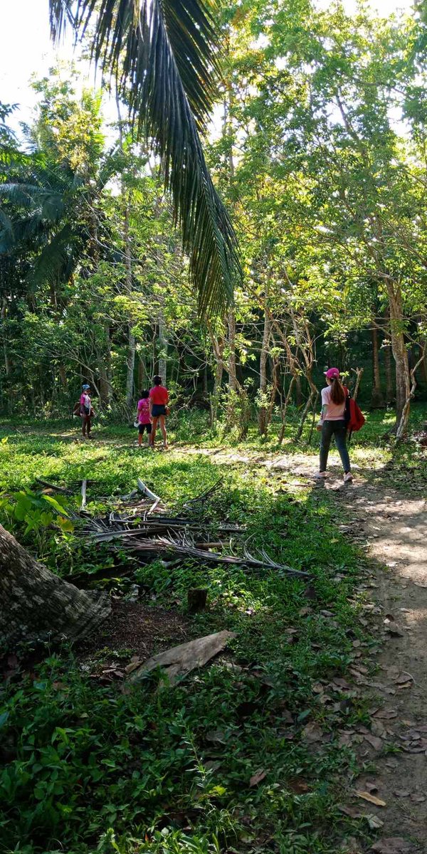 iamphym's tweet photo. @PinoyAkoBlog this is my friend’s House to House campaign for Leni and Kiko in Atimonan Quezon. If you can assist them in any kind of donations. Thanks. #LeniKiko2022 #LeniForPresident2022 #KikoAngManokKo @lilcutiereena https://t.co/PD4Ws1Gu8O
