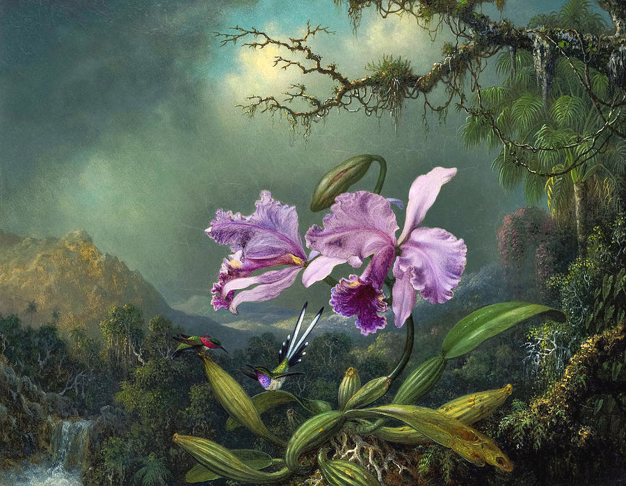 LordFredericLe1's tweet photo. This is Martin Johnson Heade's amazing 1872 painting, Study of an Orchid!!! #Art #Fineart #19thcentury #Nature #Orchid #Floral #Flowers #nature #painting #Artist #Painter #Heade #HudsonRiverSchool https://t.co/PBRZpnn0l9