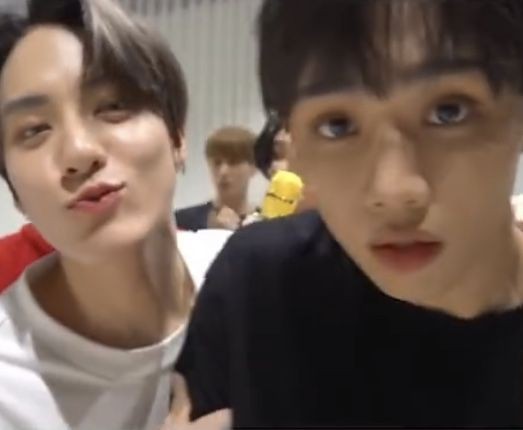 sunricnyukyu's tweet image. tiny sunric of the day