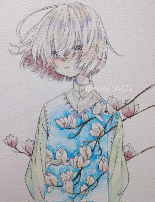 木蓮 