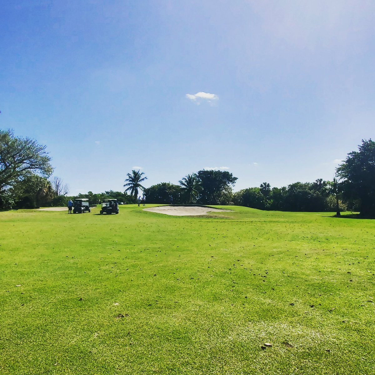 LWBGolfClub's tweet photo. No ifs, and or putts! 
Lake Worth Beach Golf Club is the place to be  ⛳️

Visit https://t.co/vk45GwgdJY to book your next tee time. https://t.co/6x11DyMt07