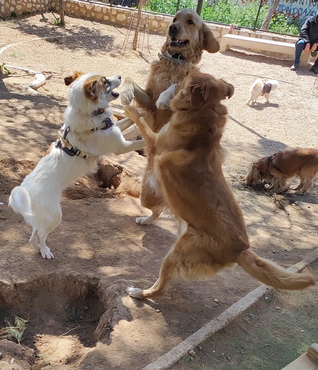 ντι___ορ tweet media