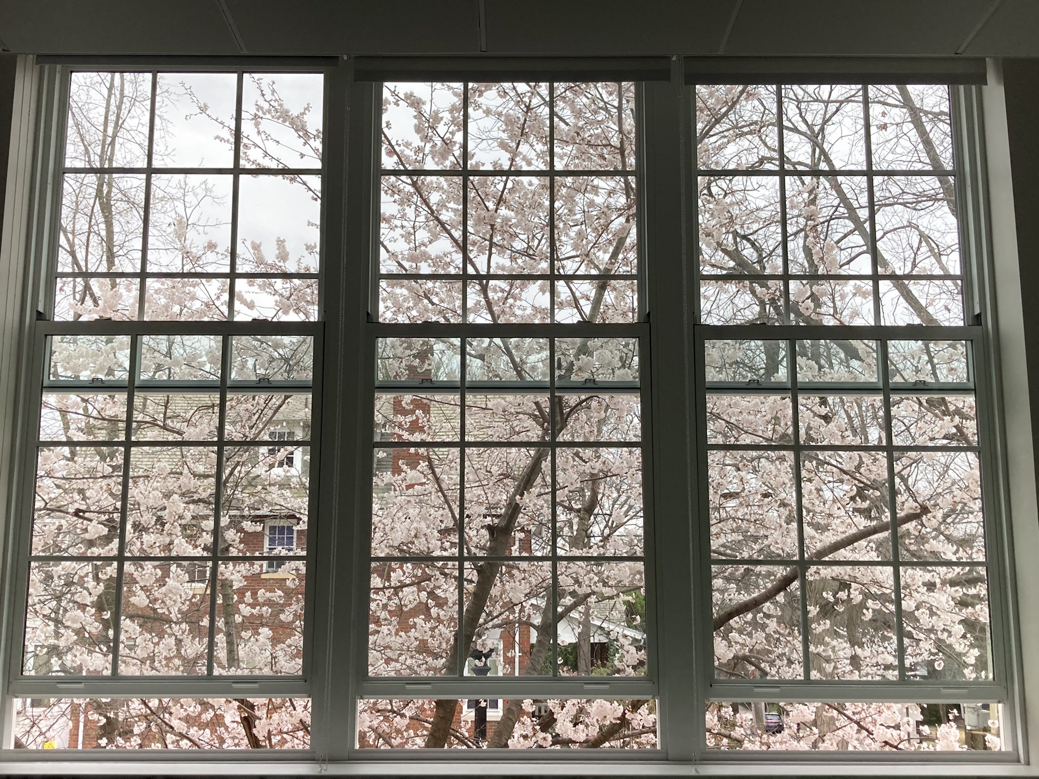 Eaton Elementary (EatonSchool) / Twitter