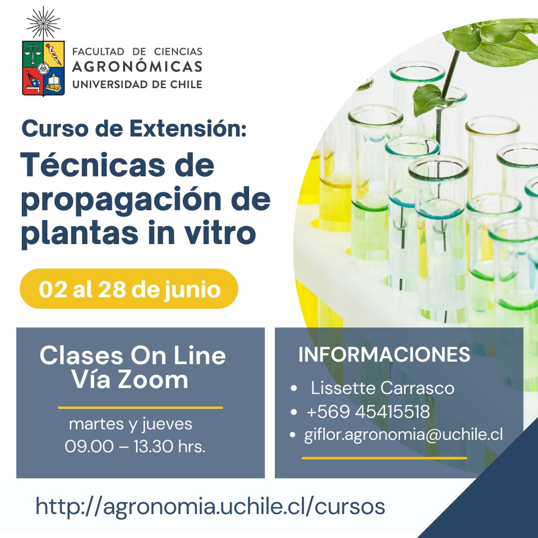 agronomiauchile's tweet image. Curso de Extensión on-line Técnicas de propagación de plantas in vitro🧪🧫
📅Inicio del curso 02 junio hasta el 28 de junio 2022
💻vía zoom 
⏰Clases martes y jueves de 09.00 – 13.30 hrs.
Más información en agronomia.uchile.cl/cursos/183558/…
#agronomiauchile #plantasinvitro #cursos2022