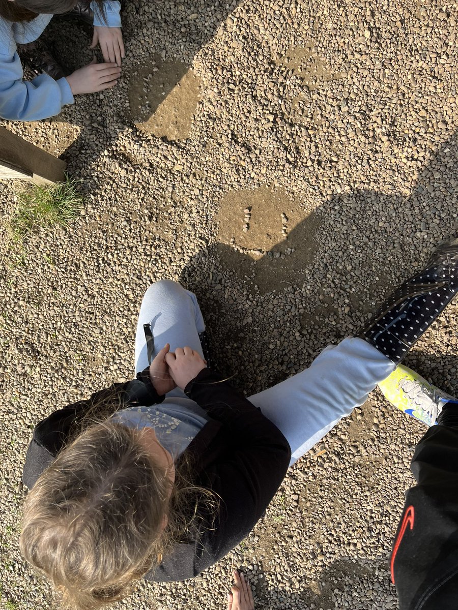 @SandhillPE tweet media