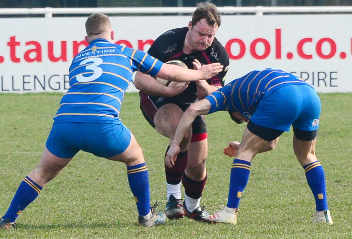 Taunton Rugby Club tweet media
