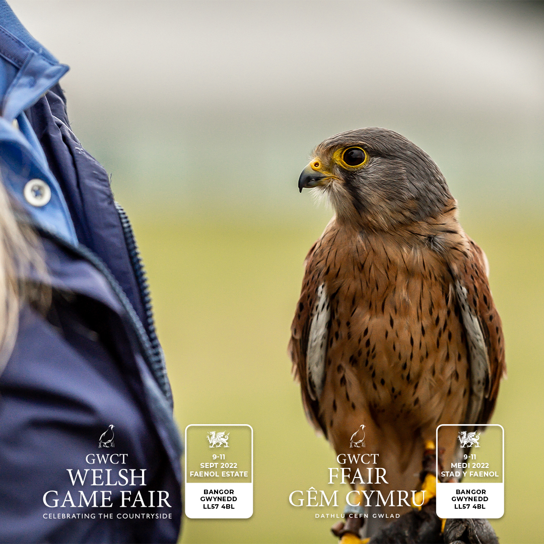 Welsh_Game_Fair (Welsh_Game_Fair) / Twitter