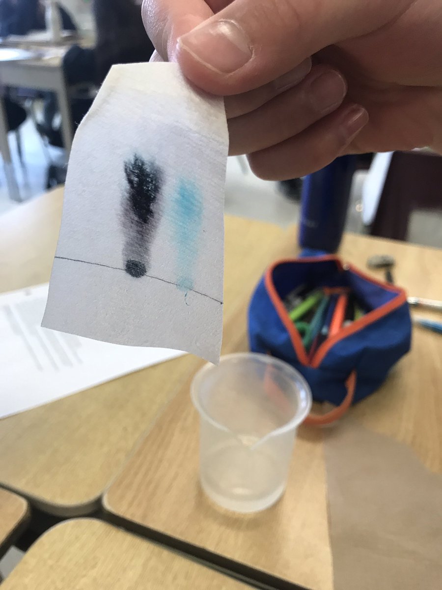 Paper Chromatography - learning how solvent moves through the paper. <a href="/BayviewHillES/">BayviewHillES</a> <a href="/theroar_bhes/">TheRoar</a>