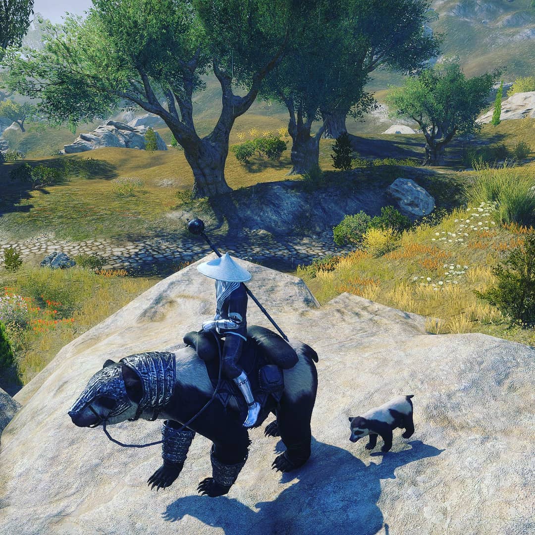 💕
#Theelderscrolls