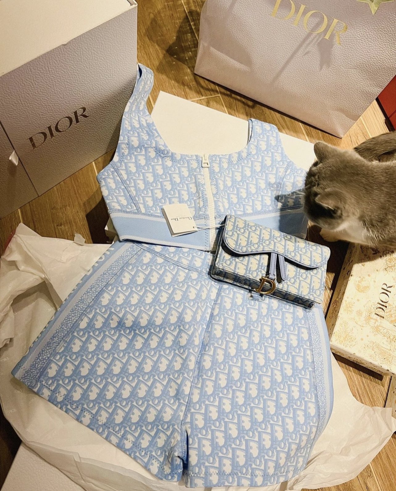 Dior baby blue hotsell