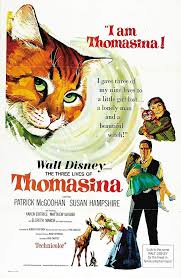 merlinpapin3's tweet photo. Aujourd'hui l'acteur #MatthewGarber aurait eu 6 ans (décédé en 1977) connu pour son rôle du petit Michael dans #MaryPoppins vu aussi dans La Gnome-mobile et Les Trois Vies de Thomasina
@FredOL69007 https://t.co/iB83tGpN80