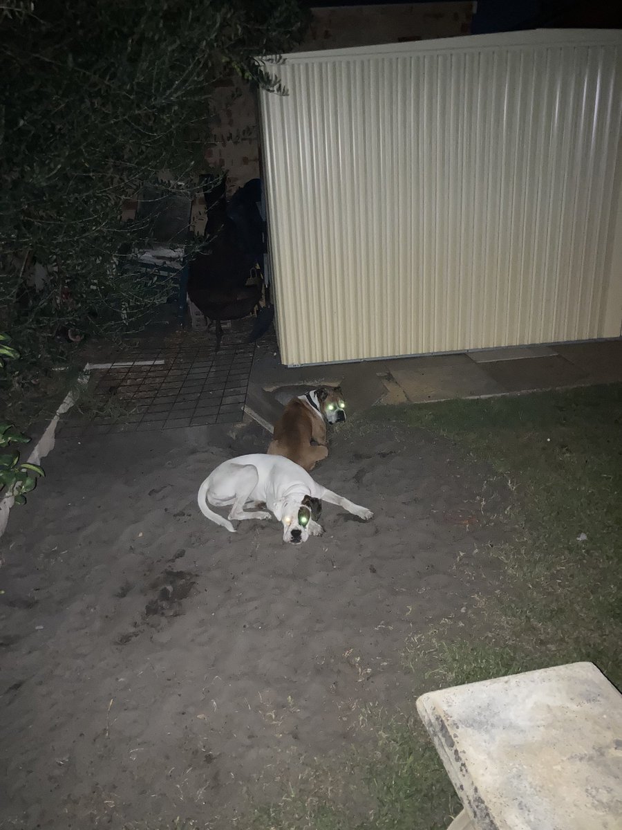 mully1968's tweet image. I grew up in Kalgoorlie, these 2 are digging a new super pit😟