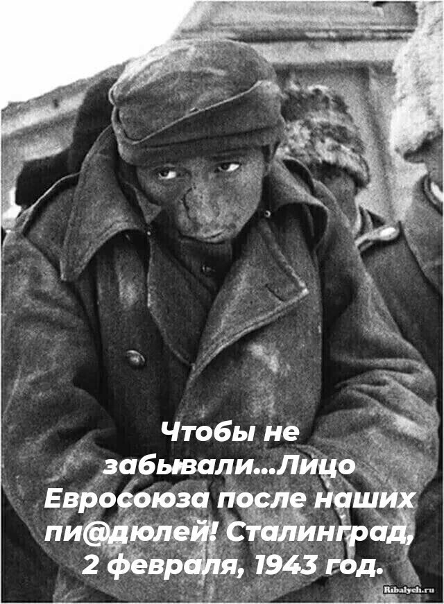 MuhamadeevFarit's tweet photo. https://t.co/xgcZVDaciT