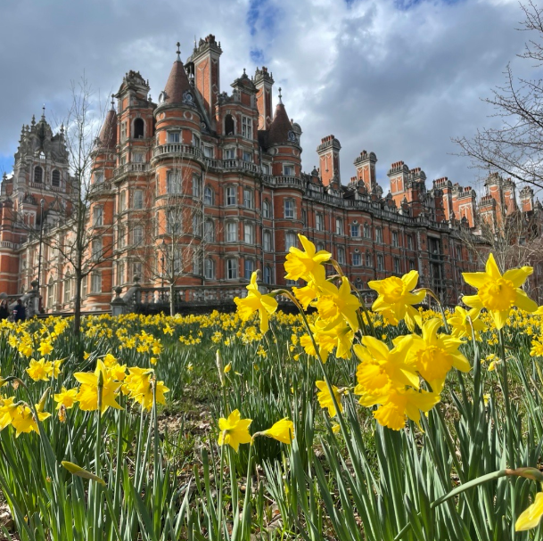 RHUL_Library's tweet photo. "I wandered lonely as a cloud
That floats on high o'er vales and hills,
When all at once I saw a crowd,
A host of golden daffodils;
Beside the lake beneath the trees,
Fluttering and dancing in the breeze" It is Librarian Law that Wordsworth must be quoted when daffodils are seen https://t.co/GgjCgYqcxm