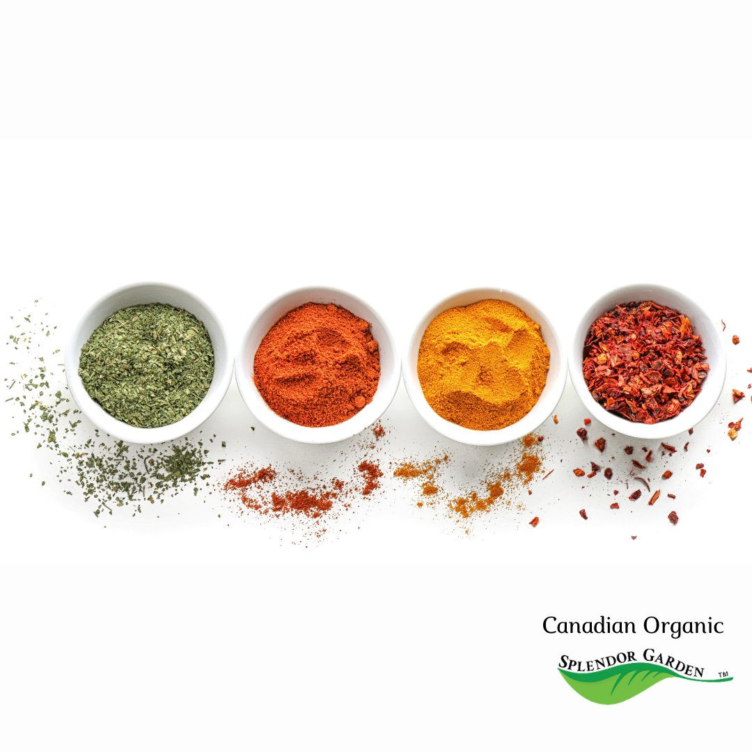 Splendor Garden tweet media