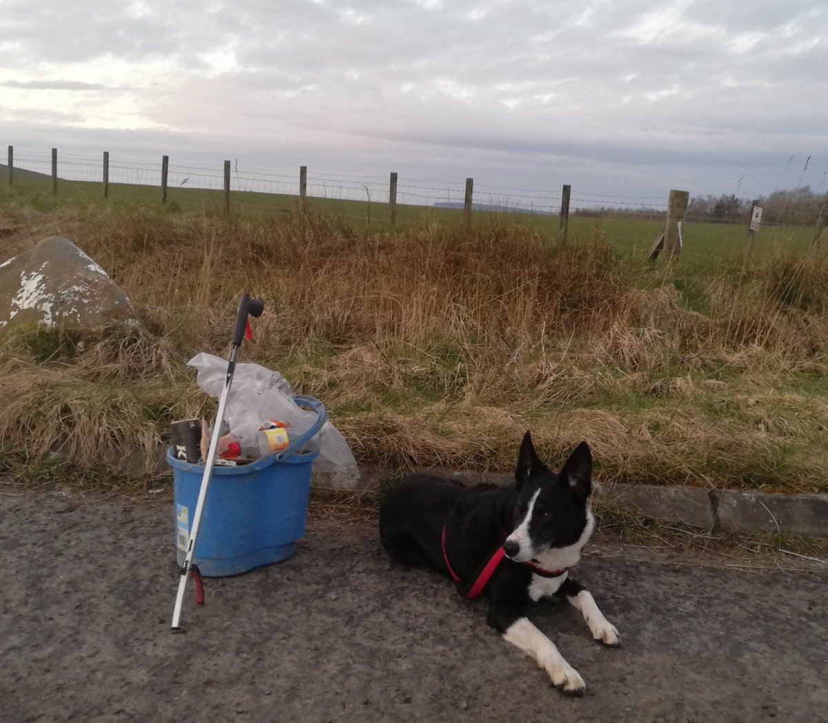 #SpringCleanScotland #BigBagChallenge @KSBScotland okay no Big Bags but 'A Bucket a day will get the Litter Away'.@pawsonplastic