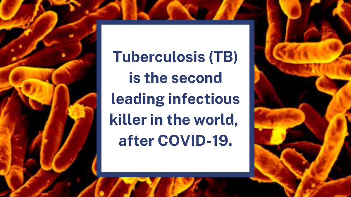 Text reads "Tuberculosis (TB) is the second leading infectious killer in the world, after COVID-19." An image of TB shows up behind the text. 