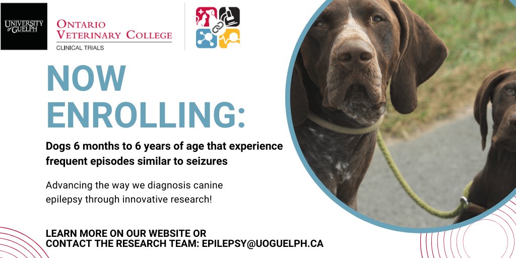 ovcclintrials's tweet photo. #VeterinaryClinicalTrial.... dogs that experience frequent episodes similar to #seizures! #OVCResearch

🐾 Financially Supported by: @OVCPetTrust, @NSERC_CRSNG and @CanineHealthFnd

❤️ This is an active study, please share this post! 

🔗 Website link: https://t.co/t2ZO3RrJsH https://t.co/iGyrTGCuvB