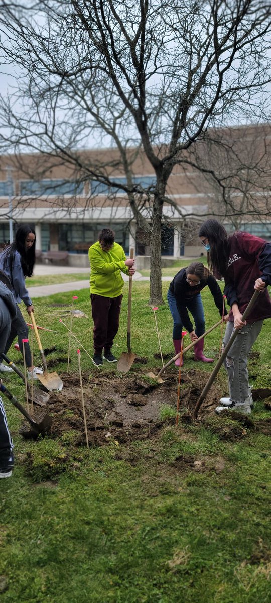 TamaraAmen's tweet photo. Digging a new pond for Strayer's feathered friends. #qcsd #teamwork #SpringIsComing https://t.co/osfYjbGrYU