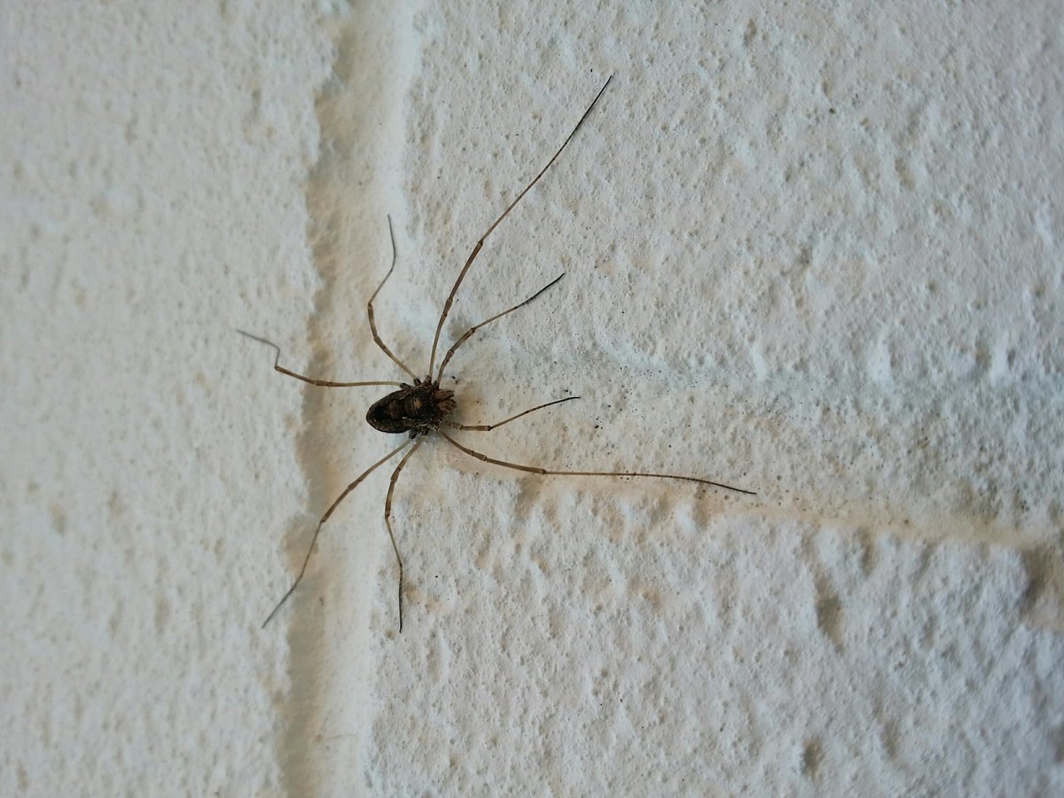 Brookside Students tweet media