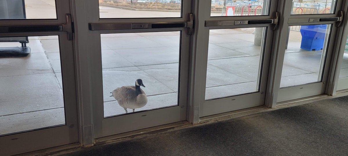 GlobalView_RB's tweet photo. Not sure if this is related to not having a mask or just waiting for someone @SenecaCollege https://t.co/tLpj1auqKe