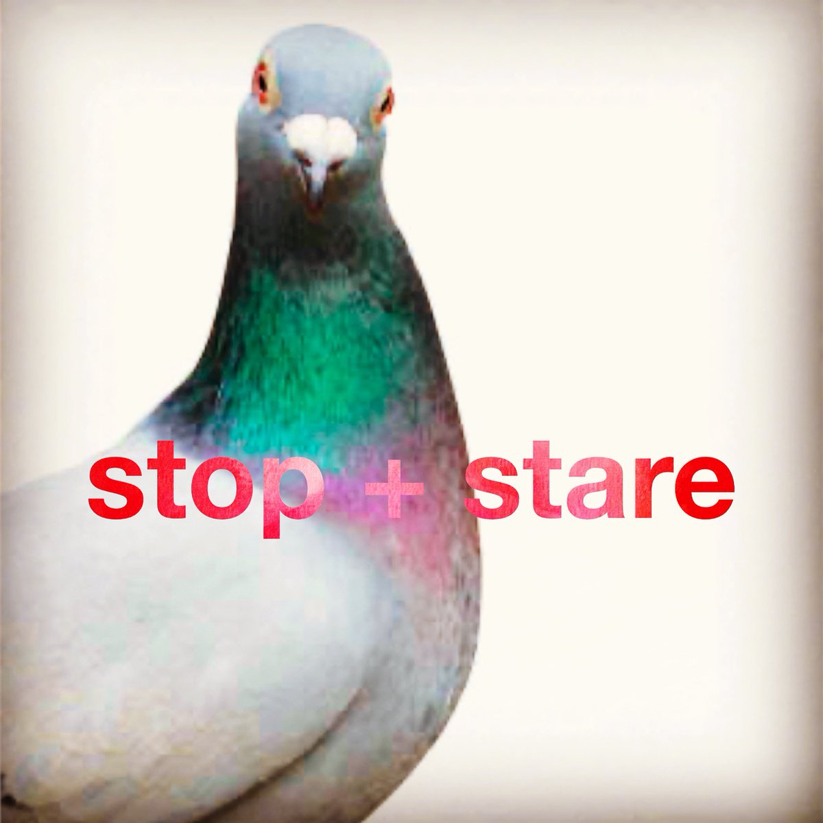 Pete Greig tweet media