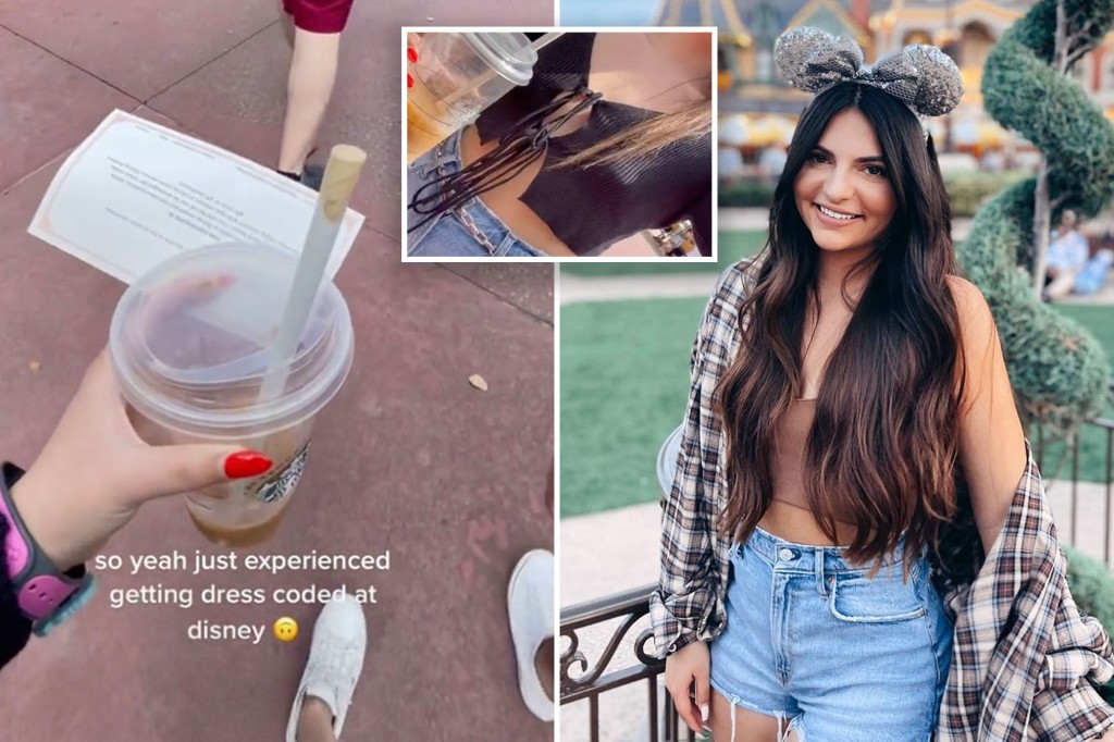 New York Post on Twitter: "Disney World visitor slapped with 'dress