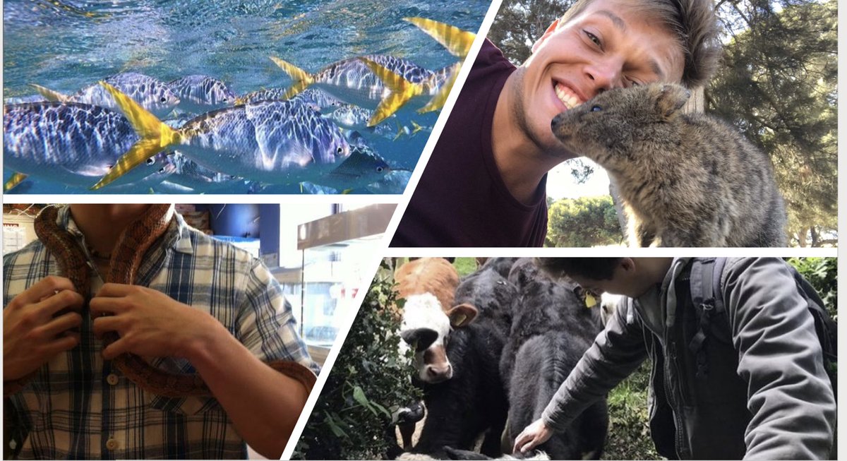 Wonderful to have the brilliant #StuartEvans from the <a href="/_UoW/">University of Winchester</a> #EnvironmentalAllianceProject with us today for academic lunch to lead a #Sustainability and #Activism seminar #StSwithunsAcademicEnrichment #EnvironmentWeek