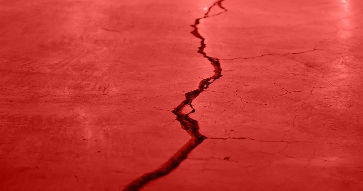 The Banner tweet media