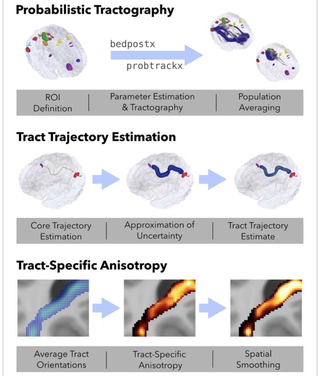 Simon Eickhoff tweet media