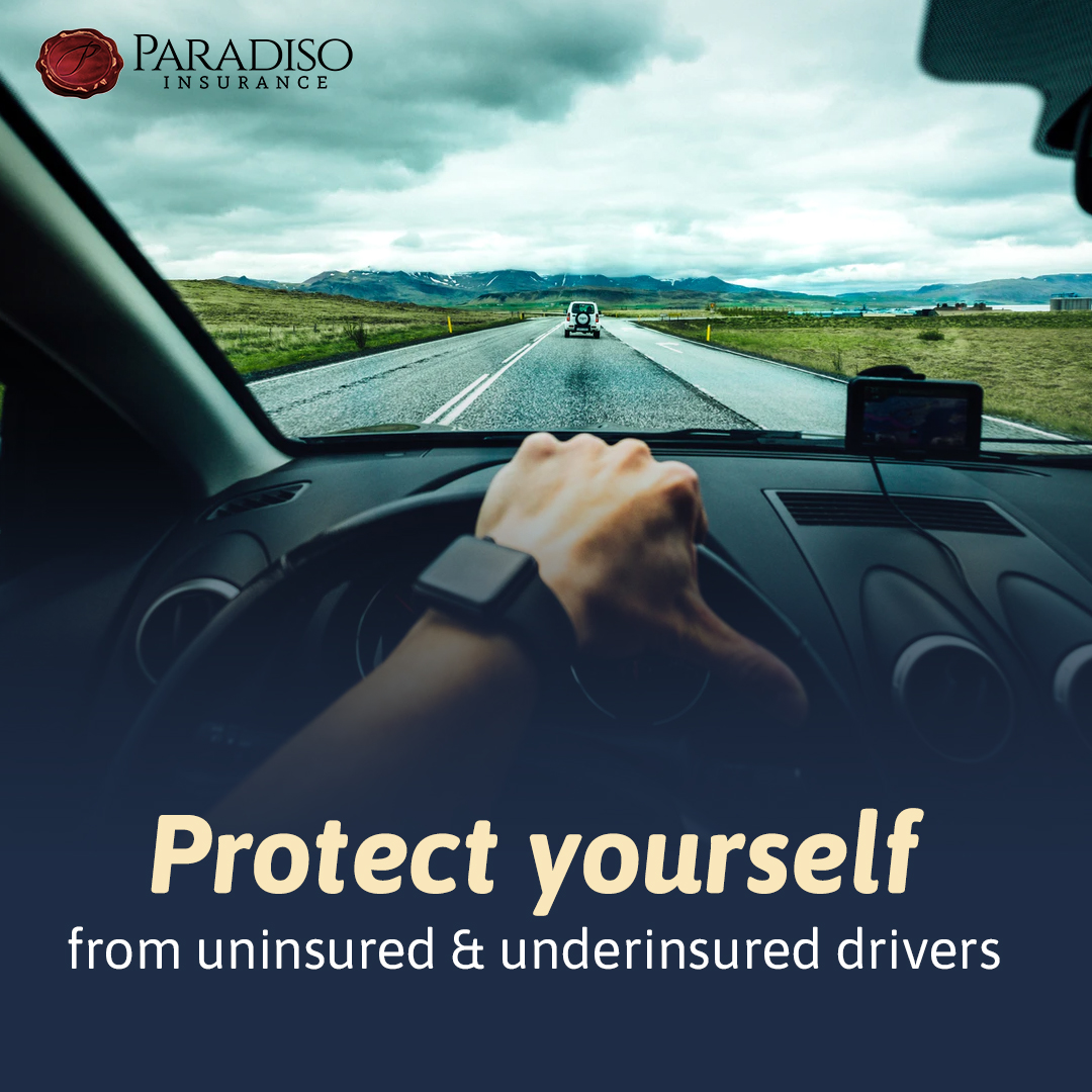 Protect yourself from uninsured and underinsured drivers: bitly.ws/ntT5
#paradisoinsurance #driverprotection