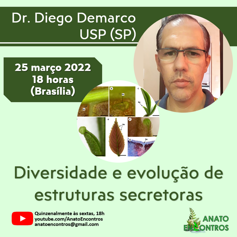 Rafael Cruz 🪴🔬🧬🇧🇷 #FernAlly tweet media