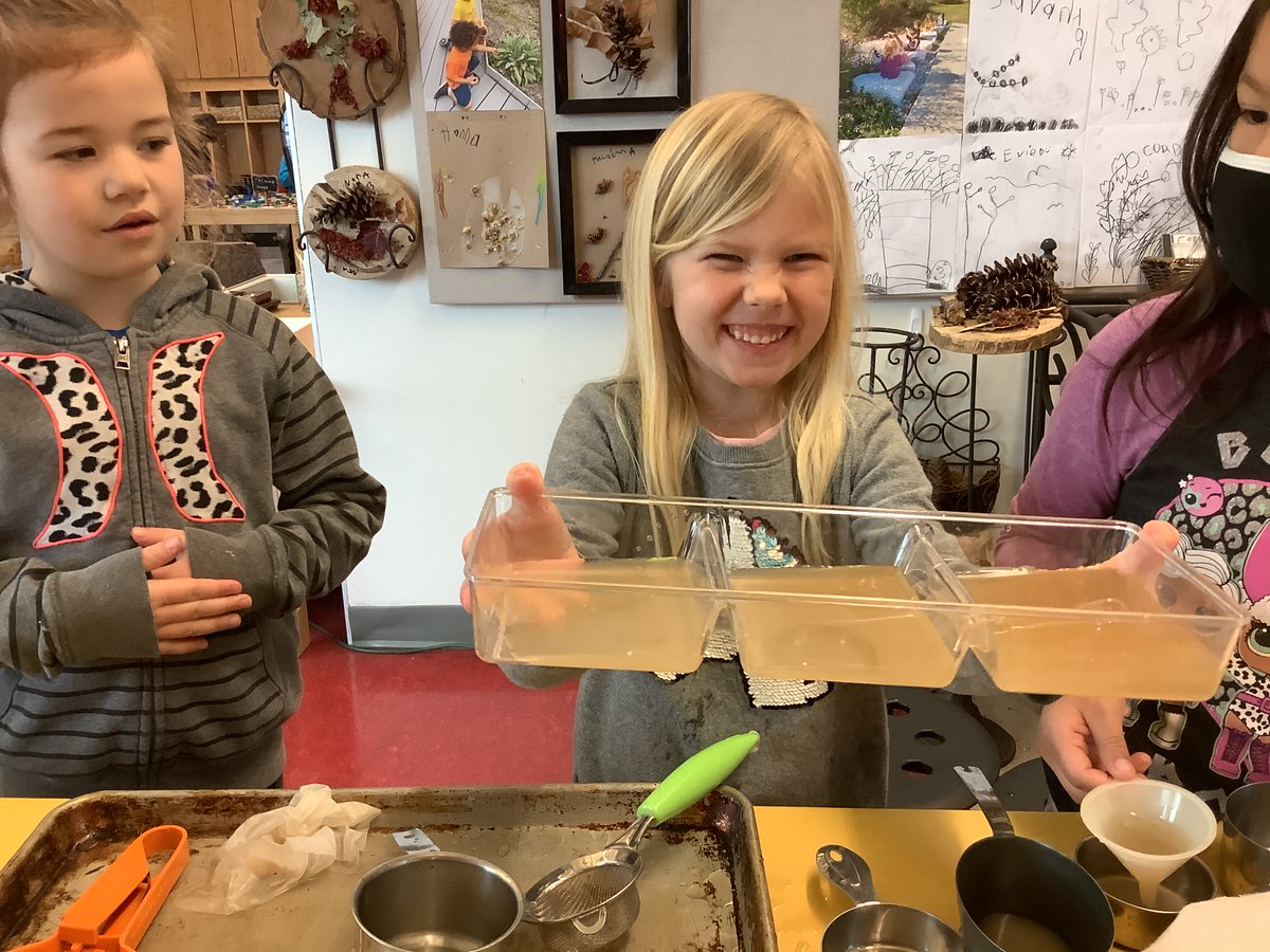JBrentECE's tweet photo. This morning’s ‘sediment’ & clearer water had our junior scientists trying to make the water in the container even cleaner. Perseverance + trial and error + sharing ideas = Success! #WaterInquiry #WorldWaterDay @DrDSuzukiSchool https://t.co/OKWs5xvsOO
