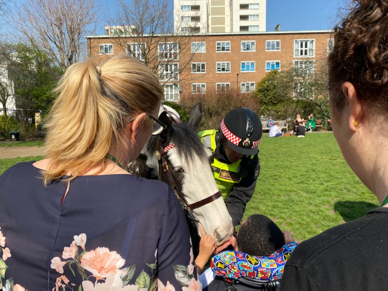 CityHorses's tweet photo. #PHIris and #PHScooby visited @rcloudesley and @Prior_Weston schools today to meet the children who gave them a 'few' treats. 325CP https://t.co/AgZcatCqxq