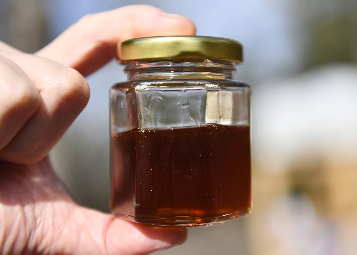 CP_AdamM's tweet image. Maple syrup @Stockton_edu project expands with education site at Historic #BatstoVillage &amp;amp; new sugar shack hubs in South Jersey &amp;amp; Philly. Story &amp;amp; Video: bit.ly/3IDvZiX