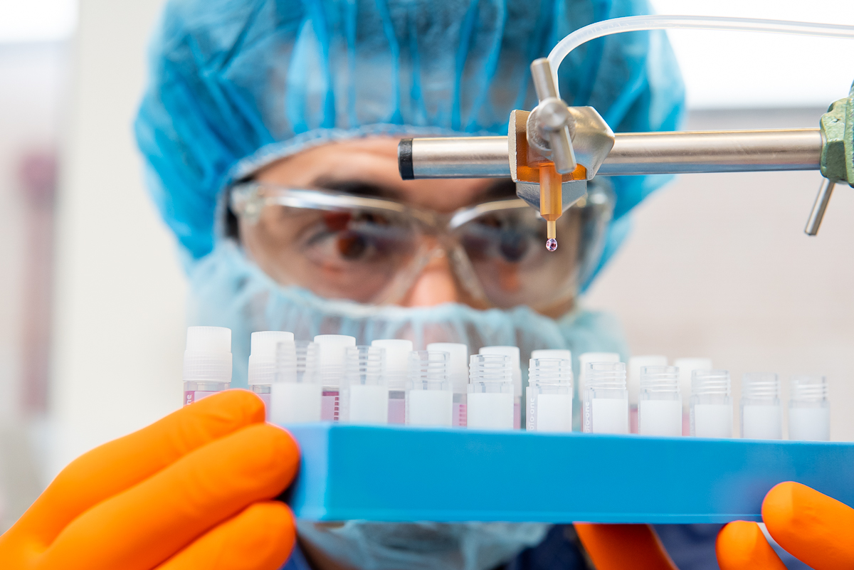 #Adenovirus vectors have an impressive track record and are used in some of the most high-profile clinical trials in the field of #genetherapy, and have been approved as vaccine carriers to battle COVID-19. Check out the 1st of our 3-part series here!

bataviabiosciences.com/past-and-curre…