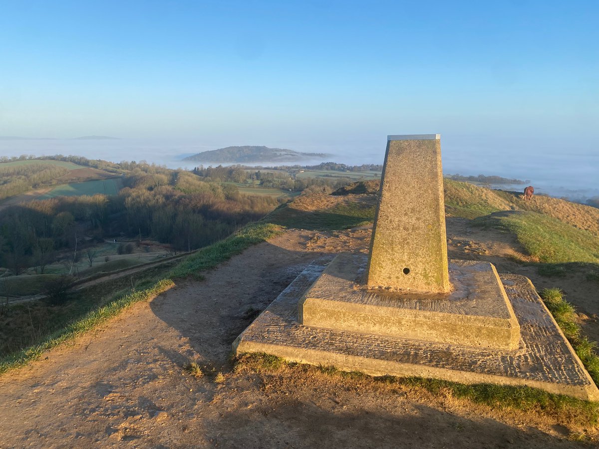 ModuleCo tweet media