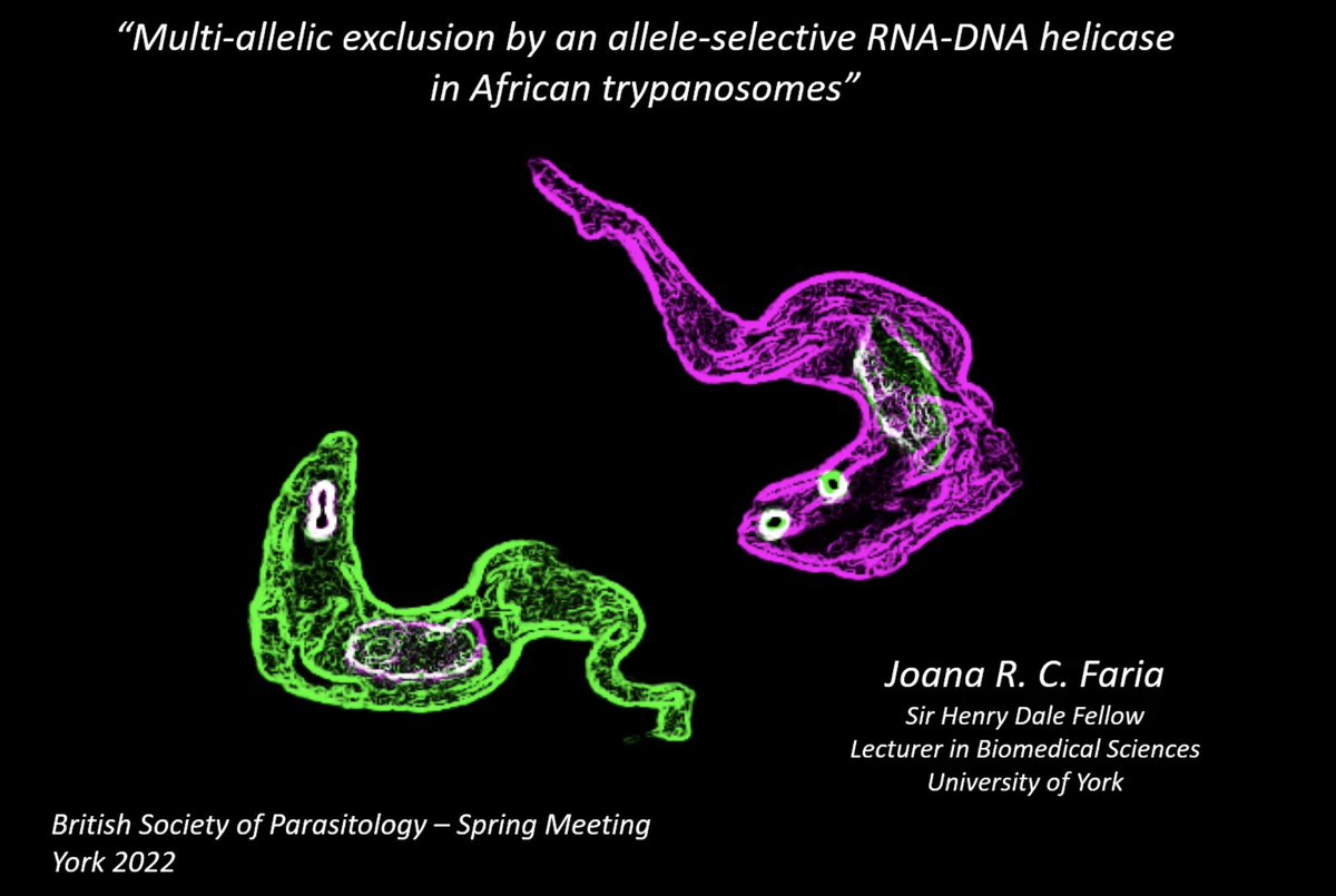British Society for Parasitology tweet media