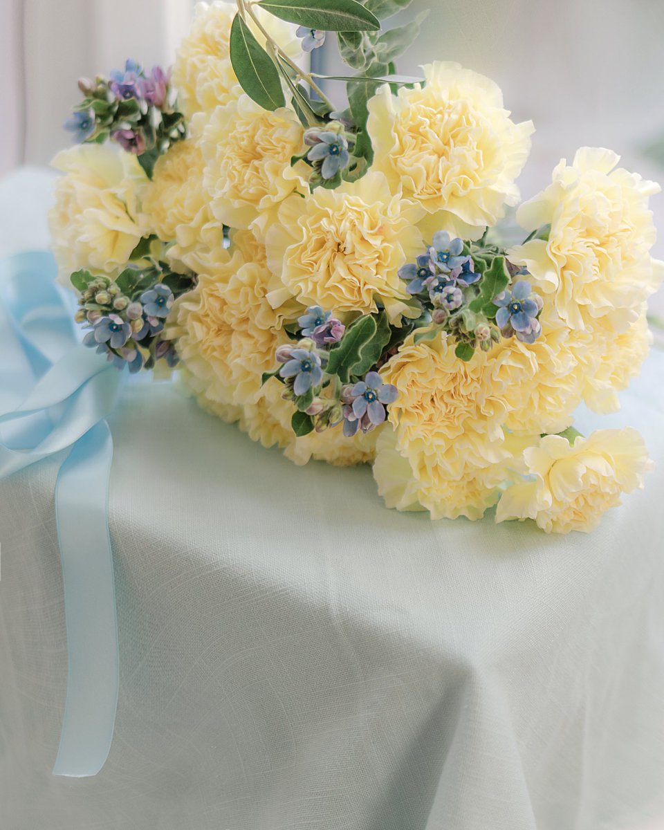 leaf_magnolia's tweet photo. Mother’s Day arrrangements , with the profits being donated to the @BritishRedCross 💙💛 #StandWithUkraine #mothersday #mothersdayflowers #carnations #oxypetalum #mlfloral #hertfordshireflorist https://t.co/rAqKkScG08