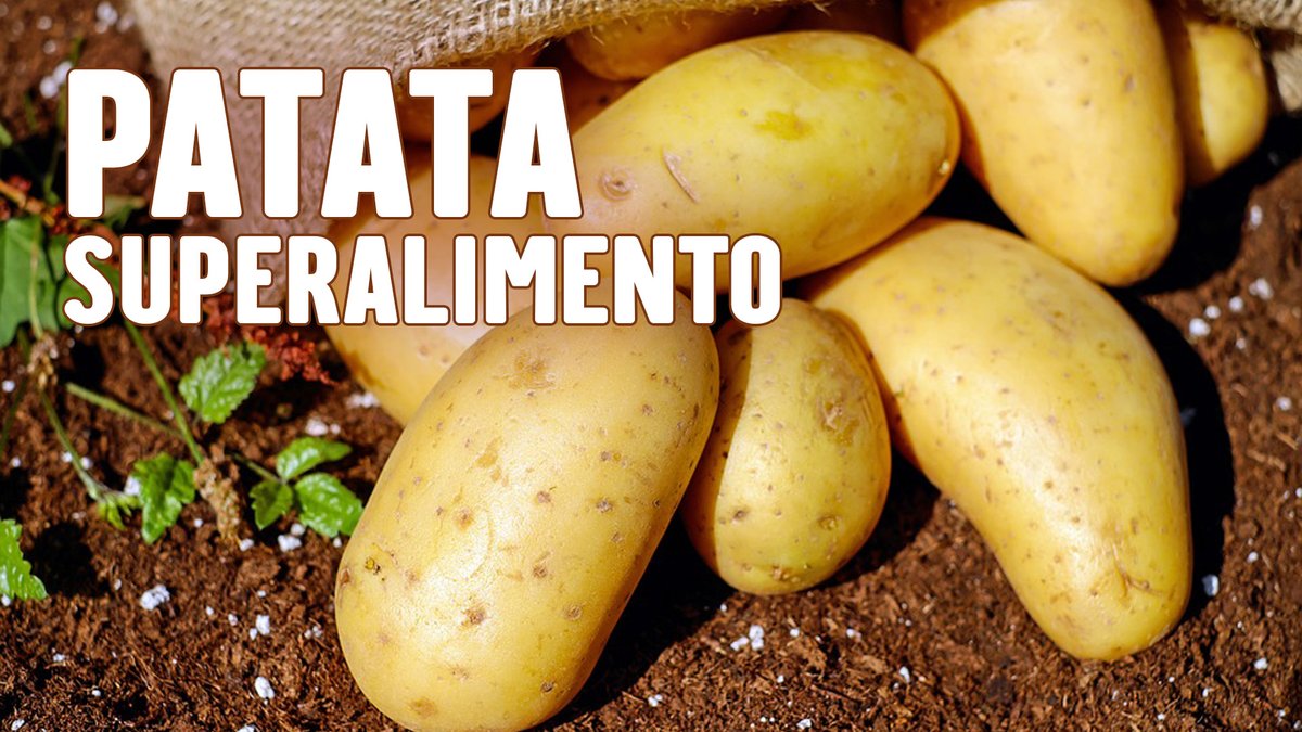 Oggi #25marzo dedichiamo la puntata al tubero più cucinato dagli italiani: le #patate 🥔
E' davvero un super food, ma come cucinarlo per valorizzarne le proprietà? Quale acquistare? 
VEDIAMOCI CHIARO alle 10:30 su <a href="/TV2000it/">Tv2000.it</a> (Canale 28, Sky 157)