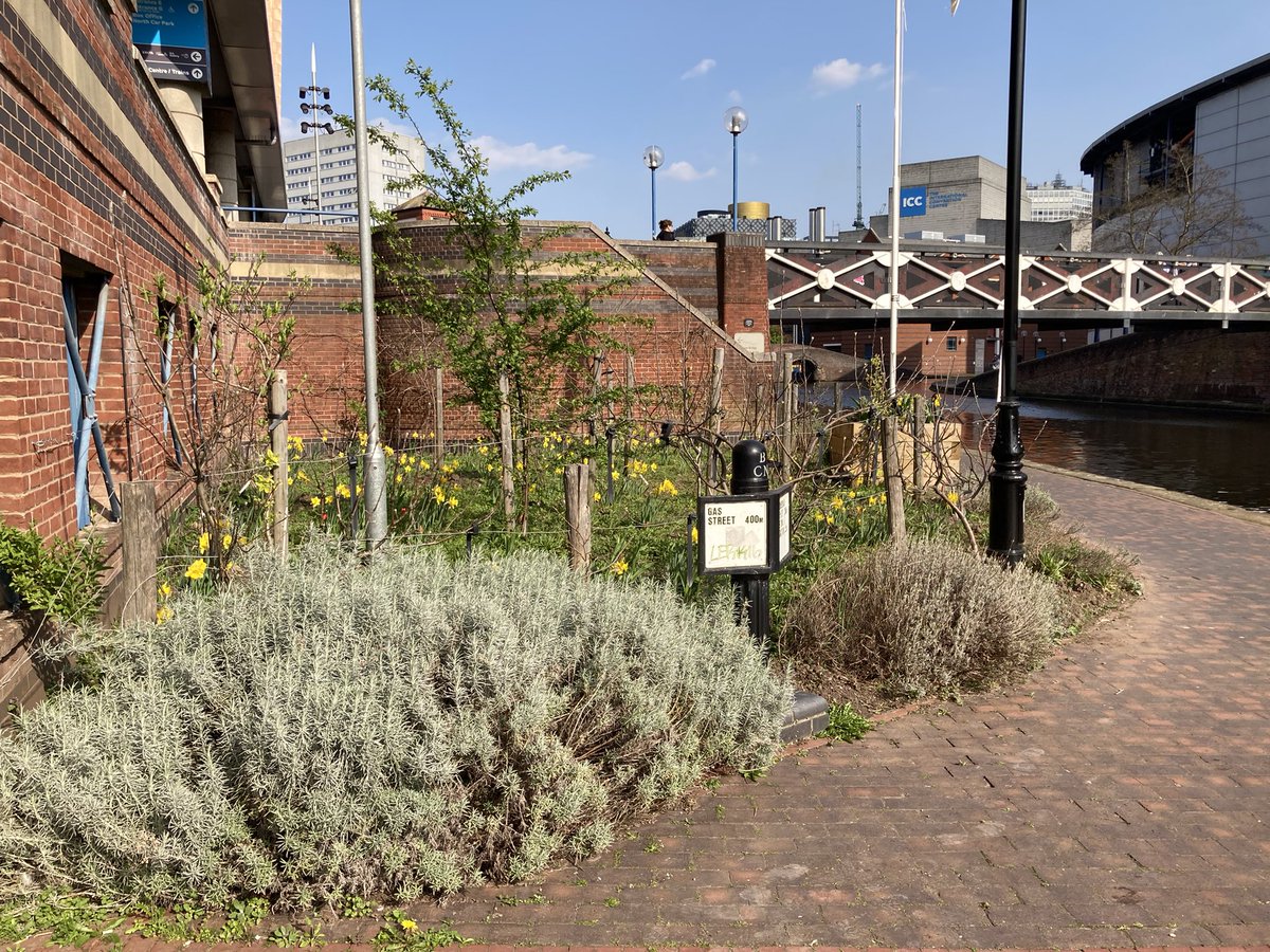 CRTWestMidlands's tweet photo. The community orchard and flower beds are looking great along the canal in #Birmingham #LifesBetterByWater #GettingGamesReady https://t.co/vuqdYvM7sC