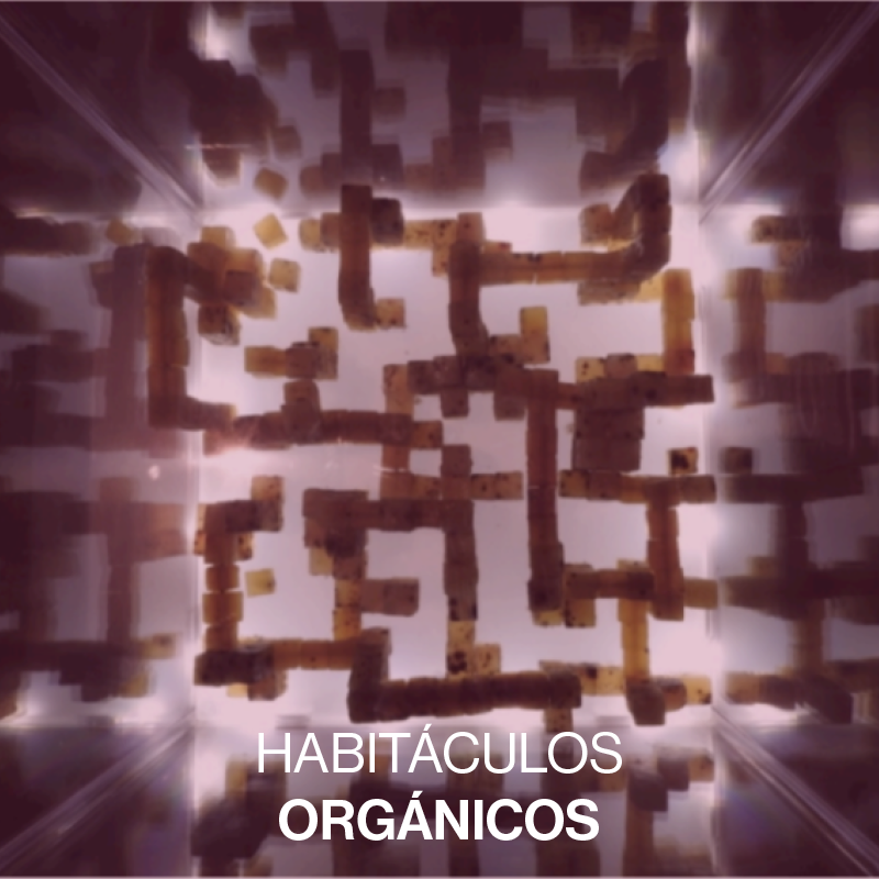 Habitáculos Orgánicos, projet de Gabriela Munguía (<a href="/gabo_munguia0/">Gabriela Munguía</a>) 🇲🇽, imagine l'urbain comme une organisation biologique complexe, en construisant des structures pour les micro-organismes.

Une métaphore des processus de changement, d’évolution et de mort.

📍 Printemps Fleuriau