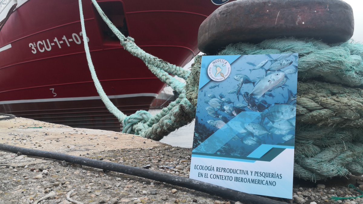 IEOoceanografia's tweet photo. La Red @invipesca reúne en un libro los resultados de investigación presentados en #SIBECORP
La publicación, en la que colabora el @CSIC a través del @IIM_CSIC y el #IEO, está coordinada por @FundacionCETMAR
➡️ https://t.co/GqszUZguUA https://t.co/6ywwljl2vp