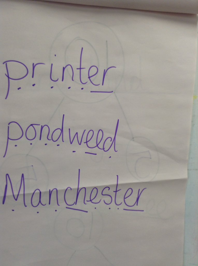 Stukeley Year Ones tweet media