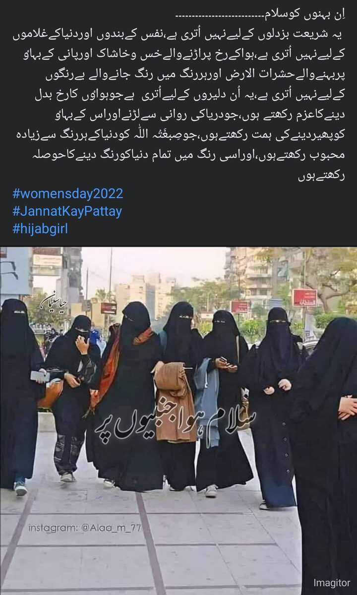 _HS_117's tweet photo. سلام ہواجنبیوں پر💖🇵🇸🇹🇷🇵🇰
#jannatkpatty
#novelistic
#HijabiGirl https://t.co/3tXhoOy7Rr