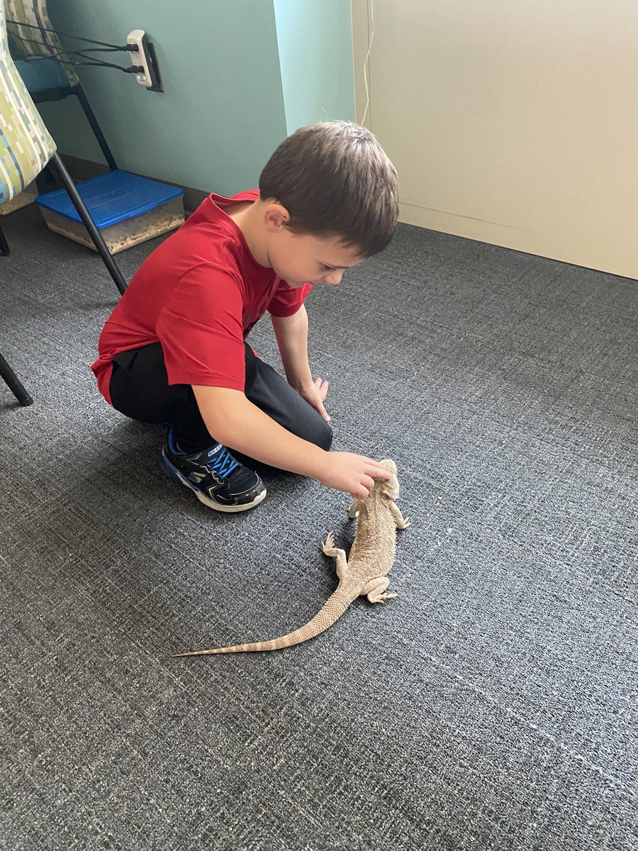 RiverbankElem's tweet photo. Riverbank is working hard to become a true Professional Learning Community! Even Freddie the bearded dragon supports student learning by serving as an incentive for positive behavior and academic achievement. @LexingtonTwo https://t.co/q8KofF06LR